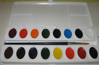 Semi-moist Oval Educational  16 Color Set